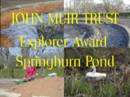 Springburn Pond
